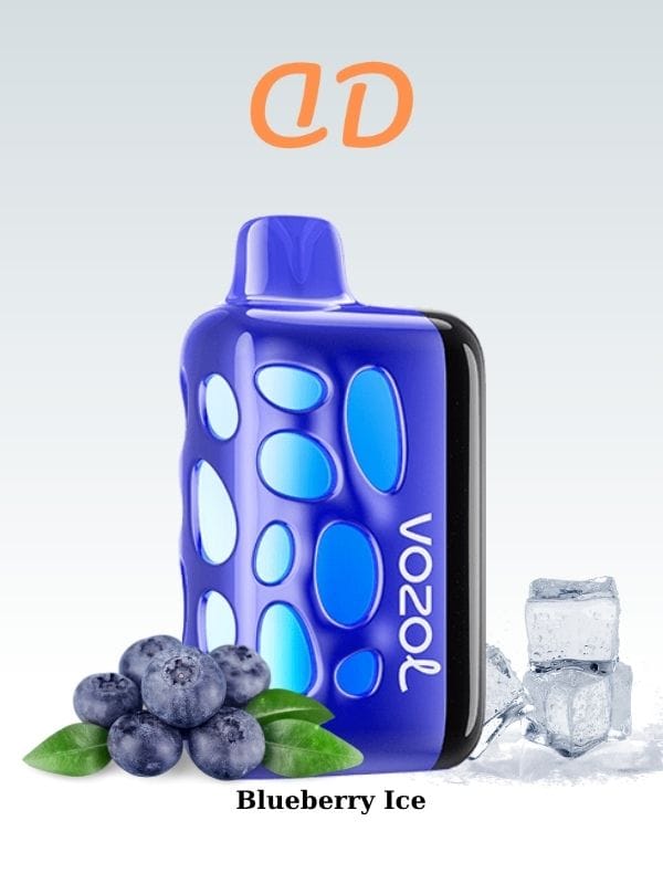 Vozol-Rave-40000-puff-Blueberry-Ice-Siparis-Ver-Duman-Diyari.