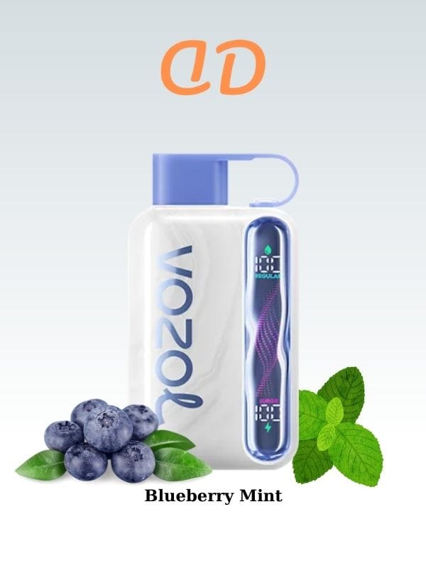Vozol-Star-40000-Puff-Blueberry-Mint-Siparis-Ver-Duman-Diyari
